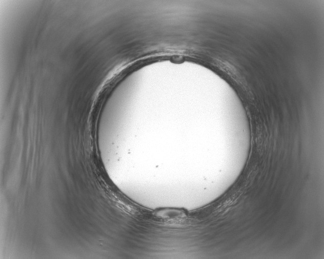 X0000059801172200511181507