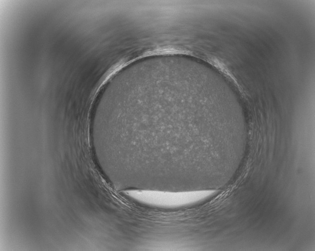 X0000059801173200511181506