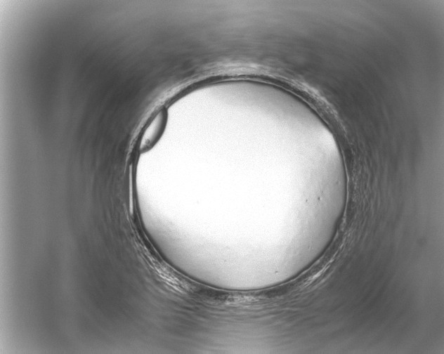 X0000059801175200511181506