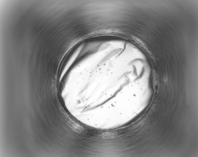 X0000059801178200511181506