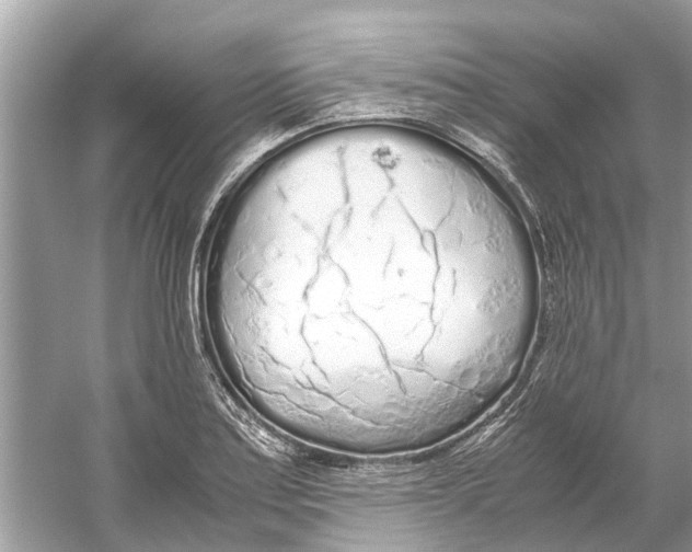 X0000059801179200511181506