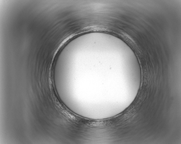 X0000059801182200511181506