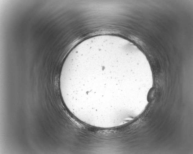 X0000059801185200511181506