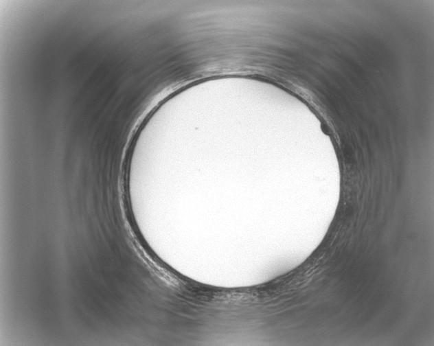 X0000059801187200511181506