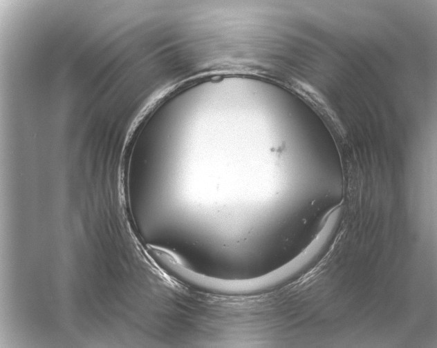 X0000059801188200511181506