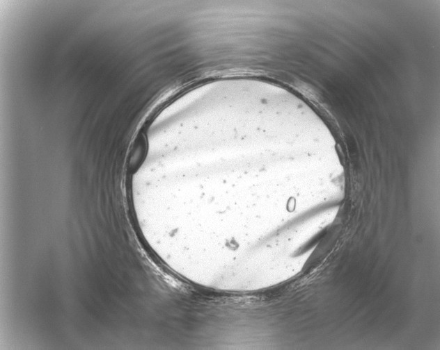 X0000059801189200511181506