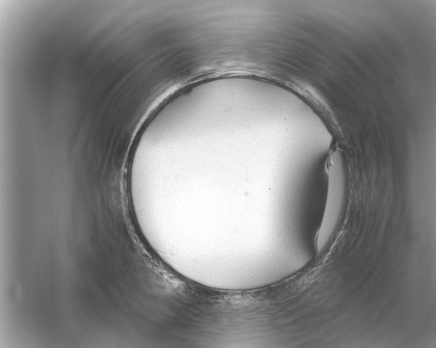 X0000059801190200511181506