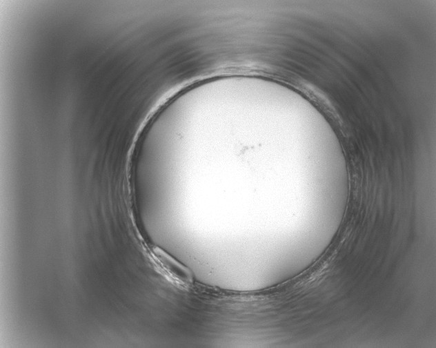 X0000059801192200511181506