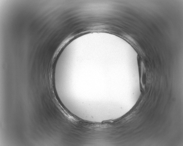 X0000059801196200511181506