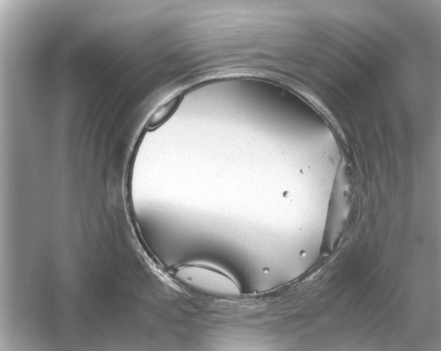 X0000059801197200511181506