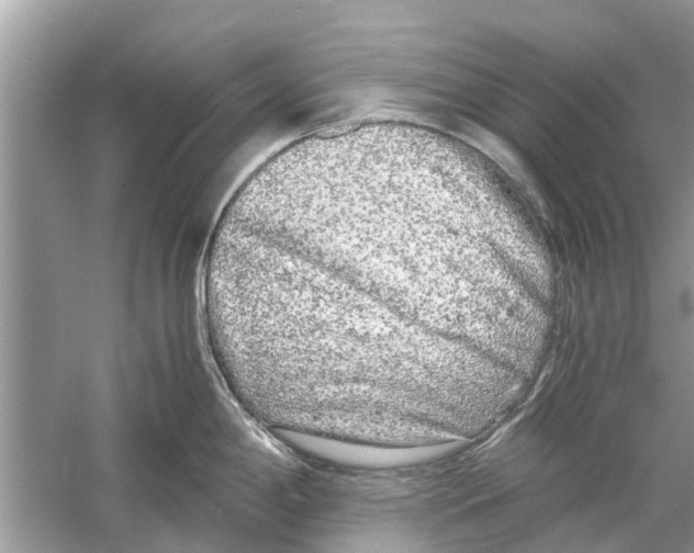 X0000059801198200511181506