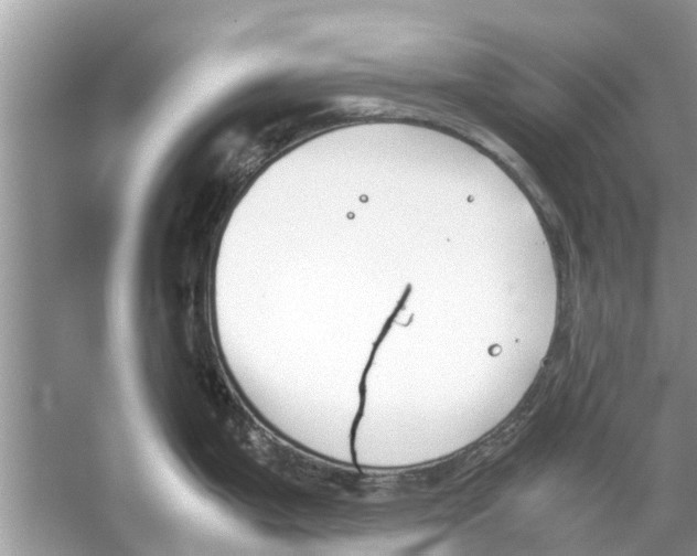 X0000059801199200511181506