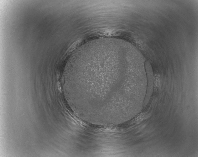 X0000059801202200511181505