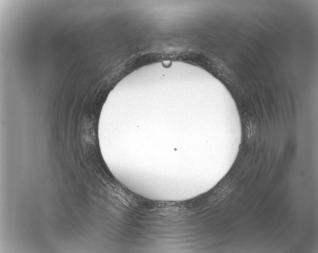 X0000059801204200511181505