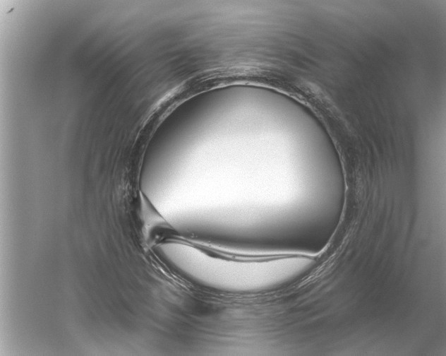 X0000059801210200511181505