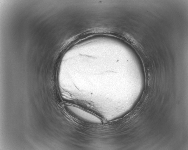 X0000059801213200511181505