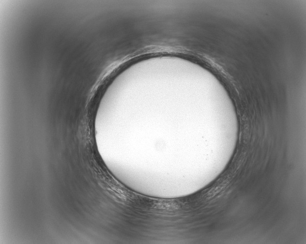 X0000059801215200511181505