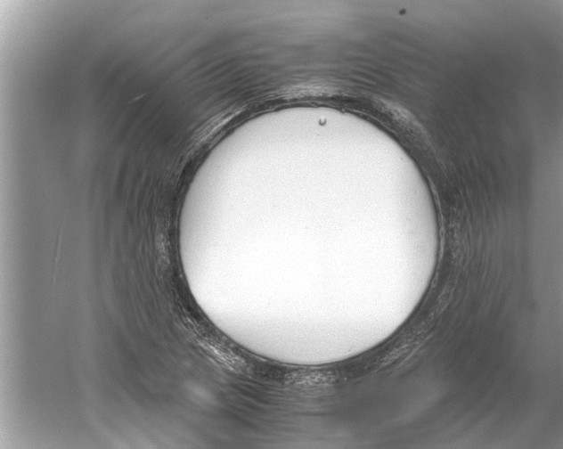 X0000059801217200511181505