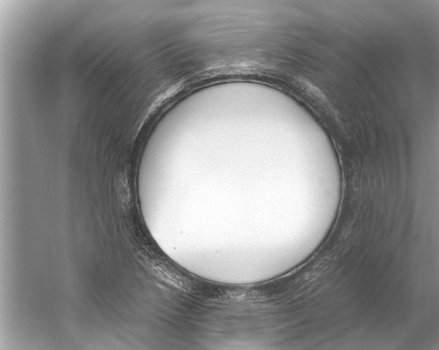 X0000059801218200511181506