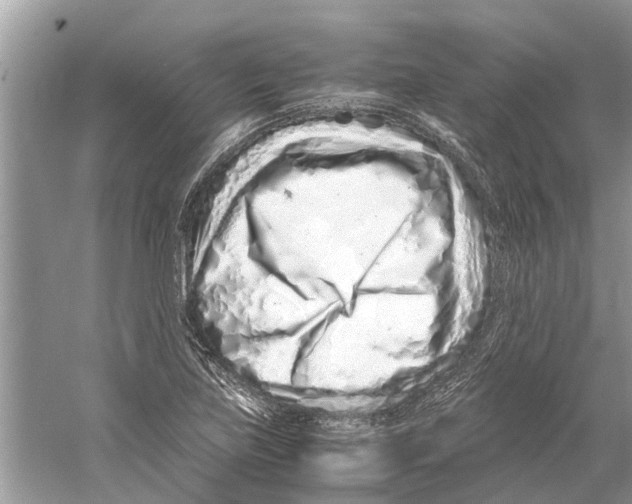 X0000059801219200511181506