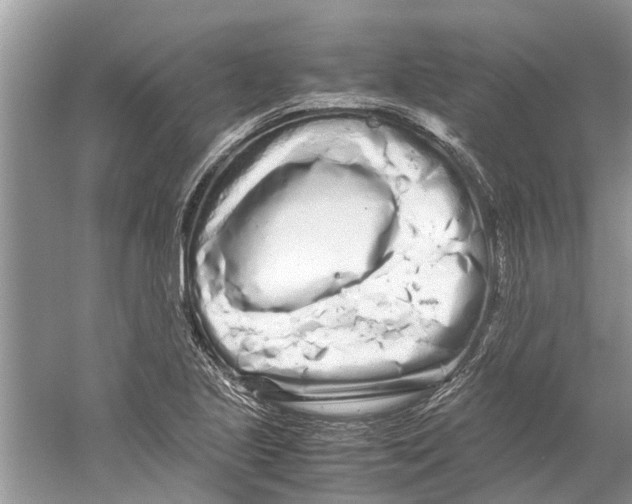 X0000059801221200511181506