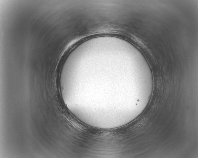 X0000059801222200511181506