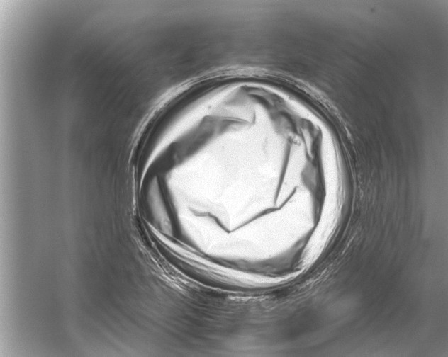 X0000059801223200511181506