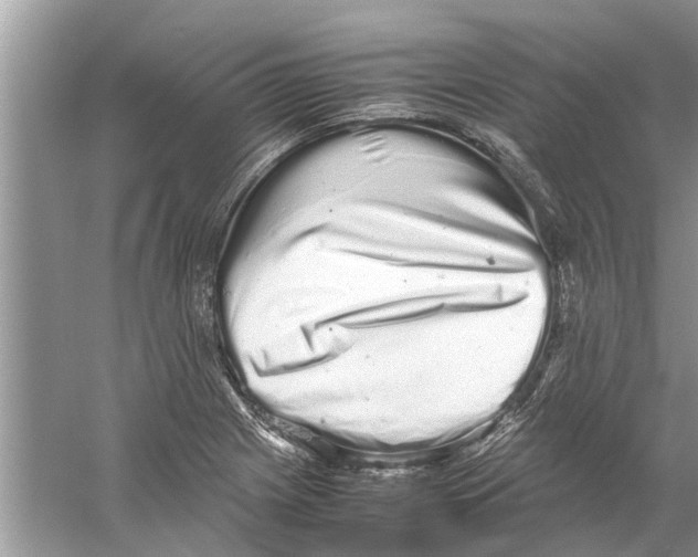 X0000059801225200511181506