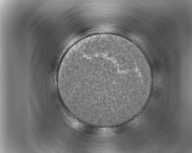 X0000059801226200511181506