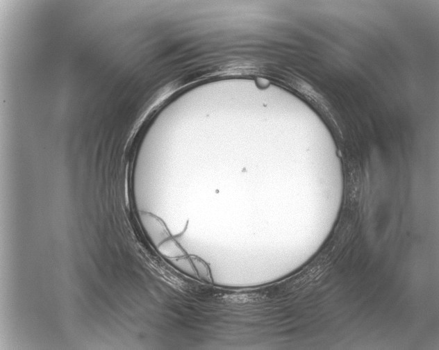 X0000059801227200511181506