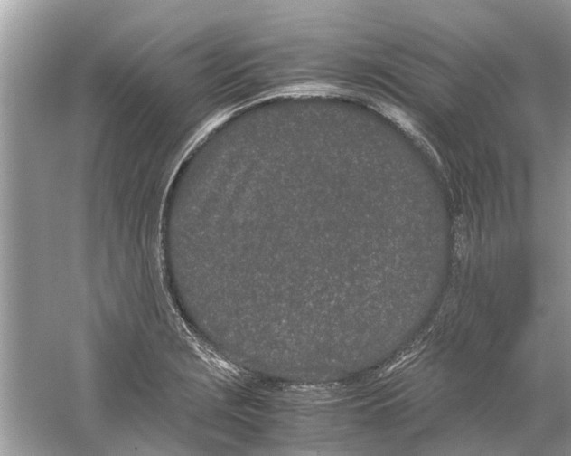 X0000059801229200511181506