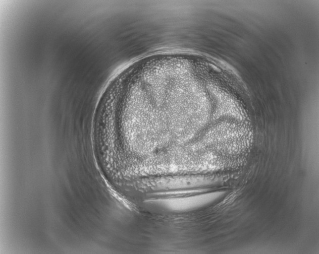 X0000059801231200511181506