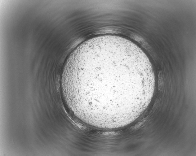 X0000059801233200511181506