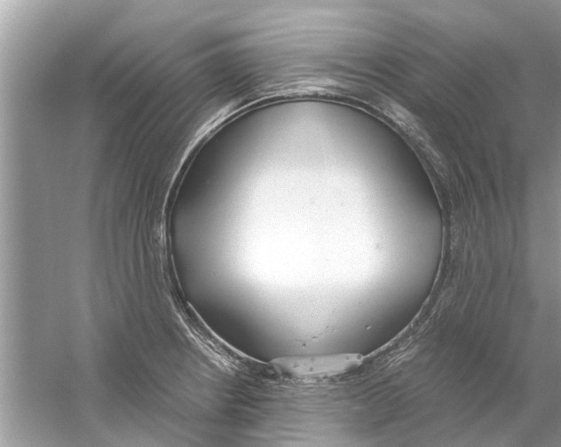 X0000059801234200511181506