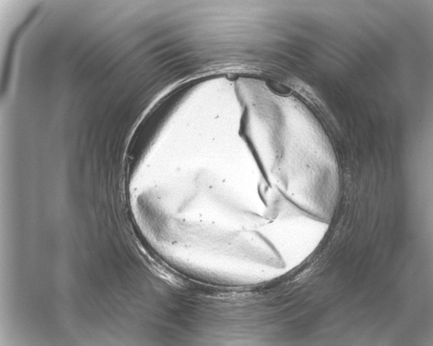 X0000059801236200511181506