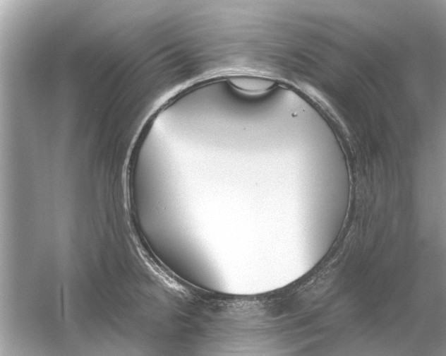 X0000059801238200511181506