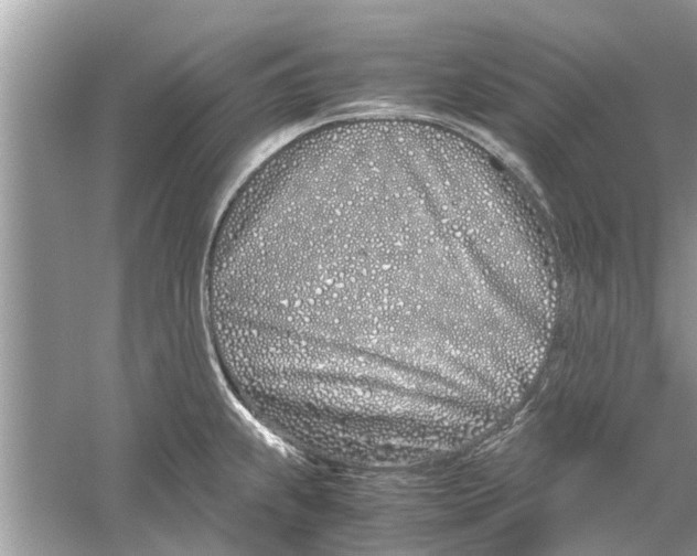 X0000059801239200511181506