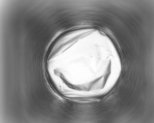 X0000059801243200511181506