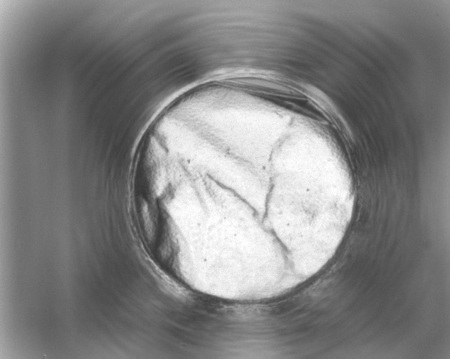 X0000059801244200511181506