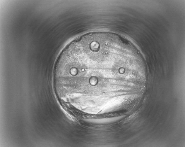 X0000059801245200511181506