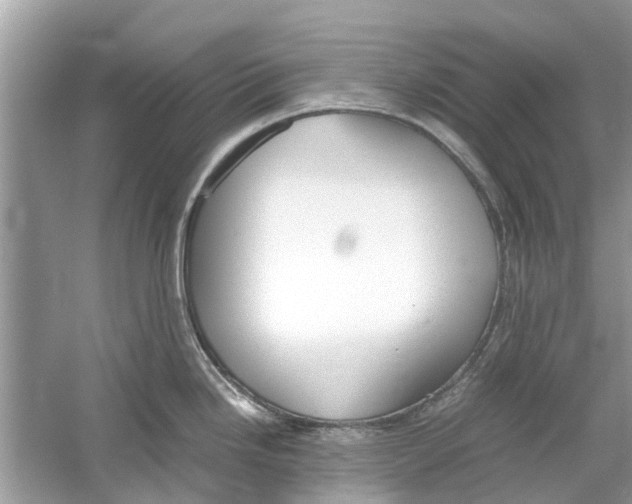 X0000059801246200511181506