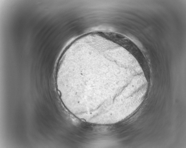 X0000059801248200511181506