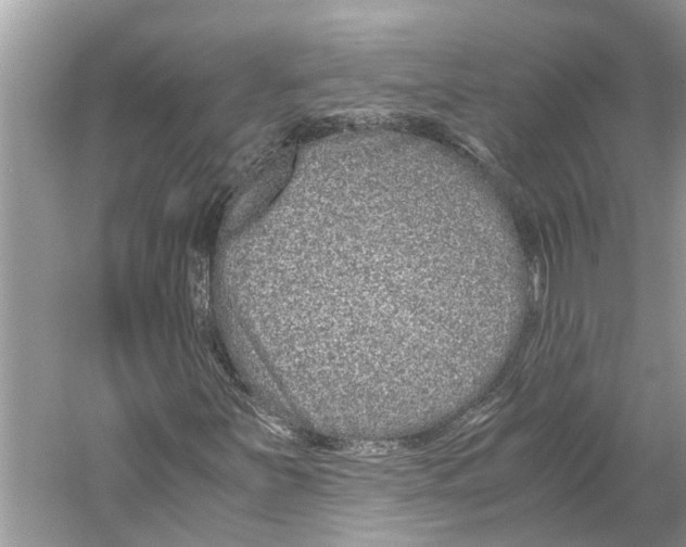 X0000059801251200511181505