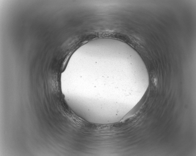 X0000059801252200511181505