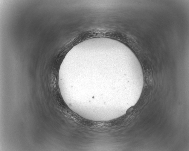 X0000059801253200511181505