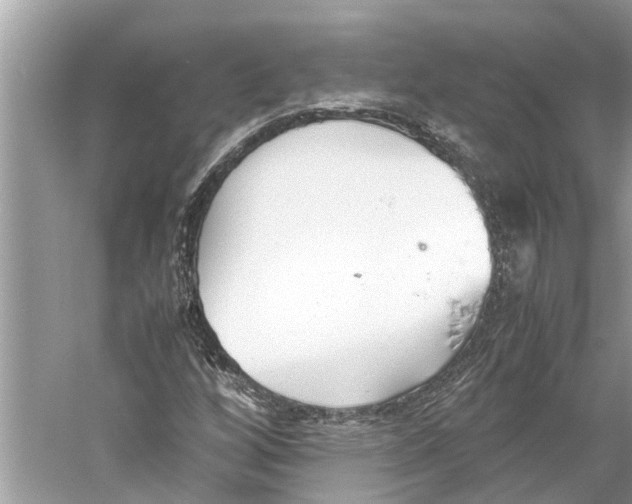 X0000059801256200511181505