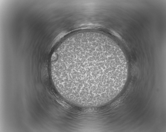 X0000059801259200511181505