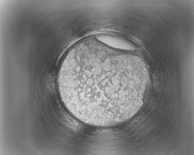 X0000059801260200511181505