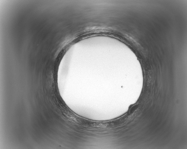 X0000059801261200511181505