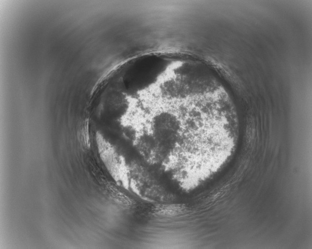 X0000059801262200511181505